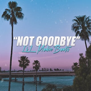 Not Goodbye - Cover Art